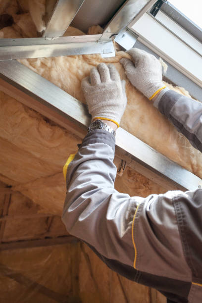 Best Cellulose Insulation in Egypt, PA